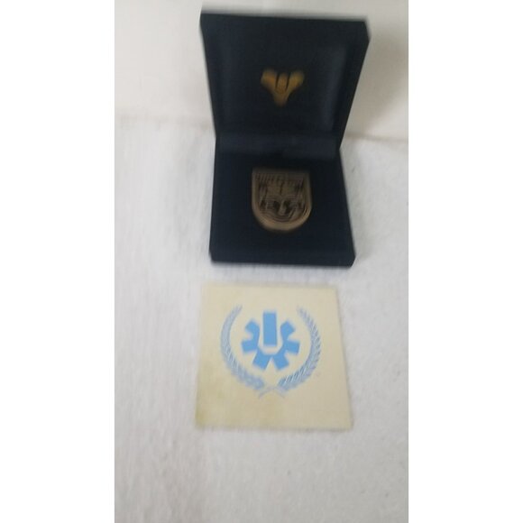 Destiny 2 RISEN Seal Pin Bungie Rewards Medallion RARE RETIRED - Picture 4 of 4